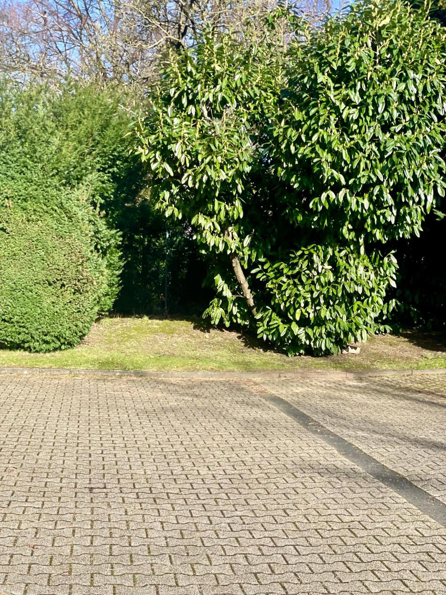 Apartment Suesses Am Klinikum In Solingen